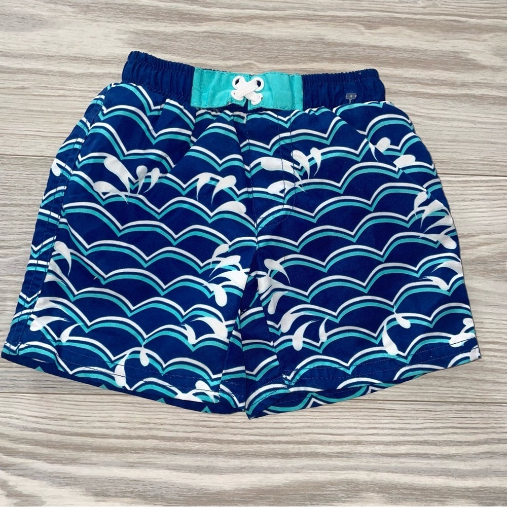 Baby Boy Swim Trunks 18 Months